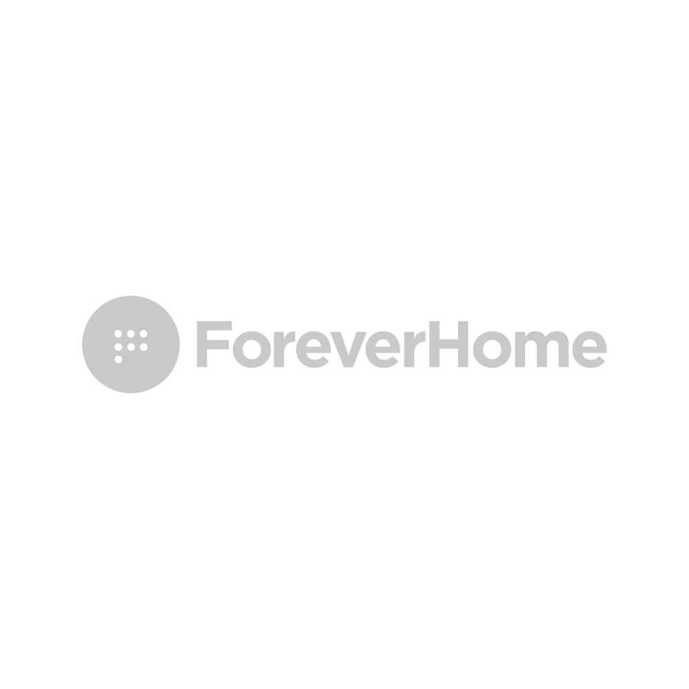 Forever Home